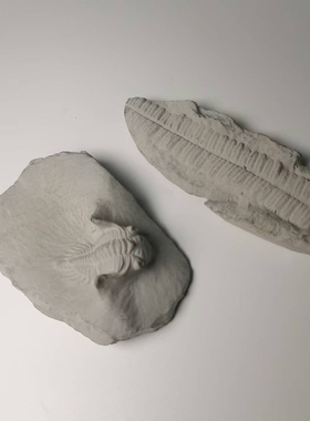 三叶虫蕨类化石水泥混凝土鱼缸造景创意装饰桌面摆件沉水造景