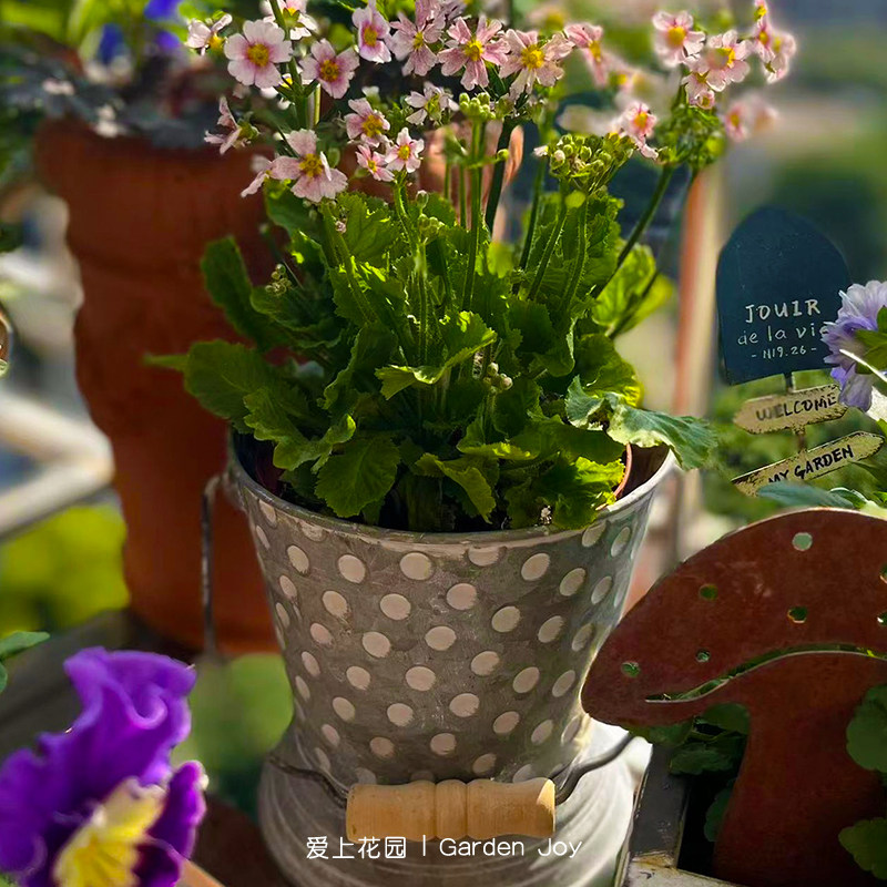 爱上花园|园艺杂货 铁艺做旧铁皮花盒 波点带底座的点点提桶,淘宝优惠券,粉丝福利购,淘宝优惠卷