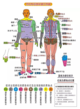 原始点按摩器EASTSCOPE/东际