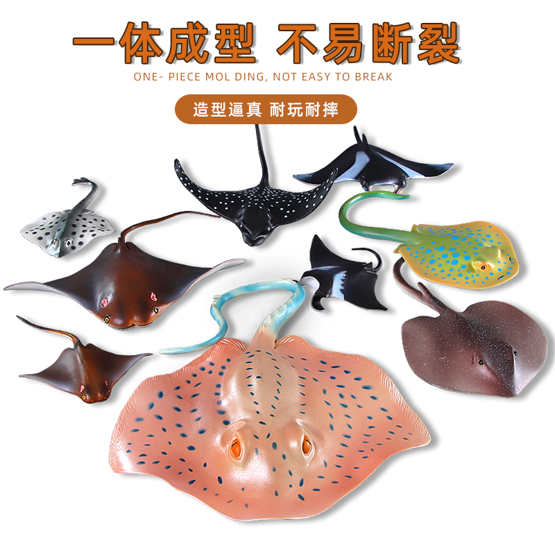 仿真海洋生物魔鬼鱼鳐鱼模型海底总动员蝠鲼玩具儿童男孩科教礼物 - 图2