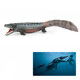 Boutique Jurassic Dragon Hard Solid Boy Sea Animal