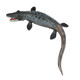 Boutique Jurassic Dragon Hard Solid Boy Sea Animal