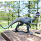 Animal Model Dilophosaurus Plastic Children Boy