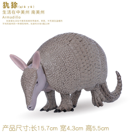 Simulated toy animal model solid plastic armadillo
