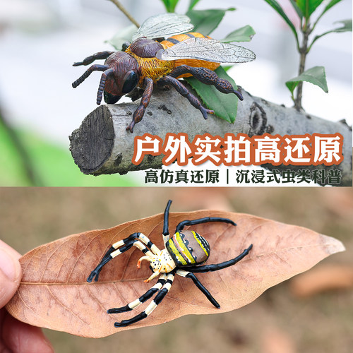 儿童仿真昆虫模型动物玩具蜜蜂独仙角蝴蝶草蜢螳螂七星瓢虫礼物 - 图1