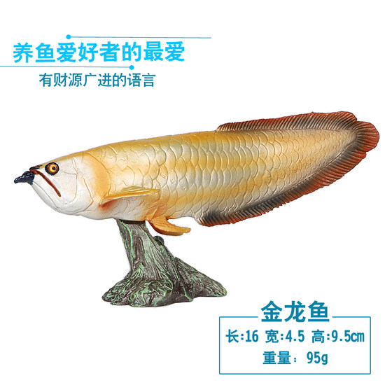 Simulated ocean model freshwater fish silver arowana red arowana