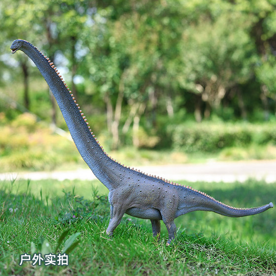 Simulated ancient dinosaur model large Mamenchisaurus toy figure for children and boys cognitive ornaments decorative gifts