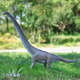 Simulated ancient dinosaur model large Mamenchisaurus toy figure for children and boys cognitive ornaments decorative gifts