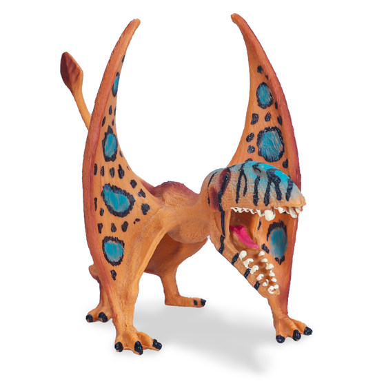 Jurassic dinosaur model pterosaur toy bat dragon Dimorphodon pterosaur children's science and education cognitive gift ornaments