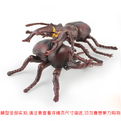 儿童仿真昆虫模型动物玩具蜜蜂独仙角蝴蝶草蜢螳螂七星瓢虫礼物 - 图2