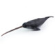 Foreign trade marine life narwhal pvc narwhal