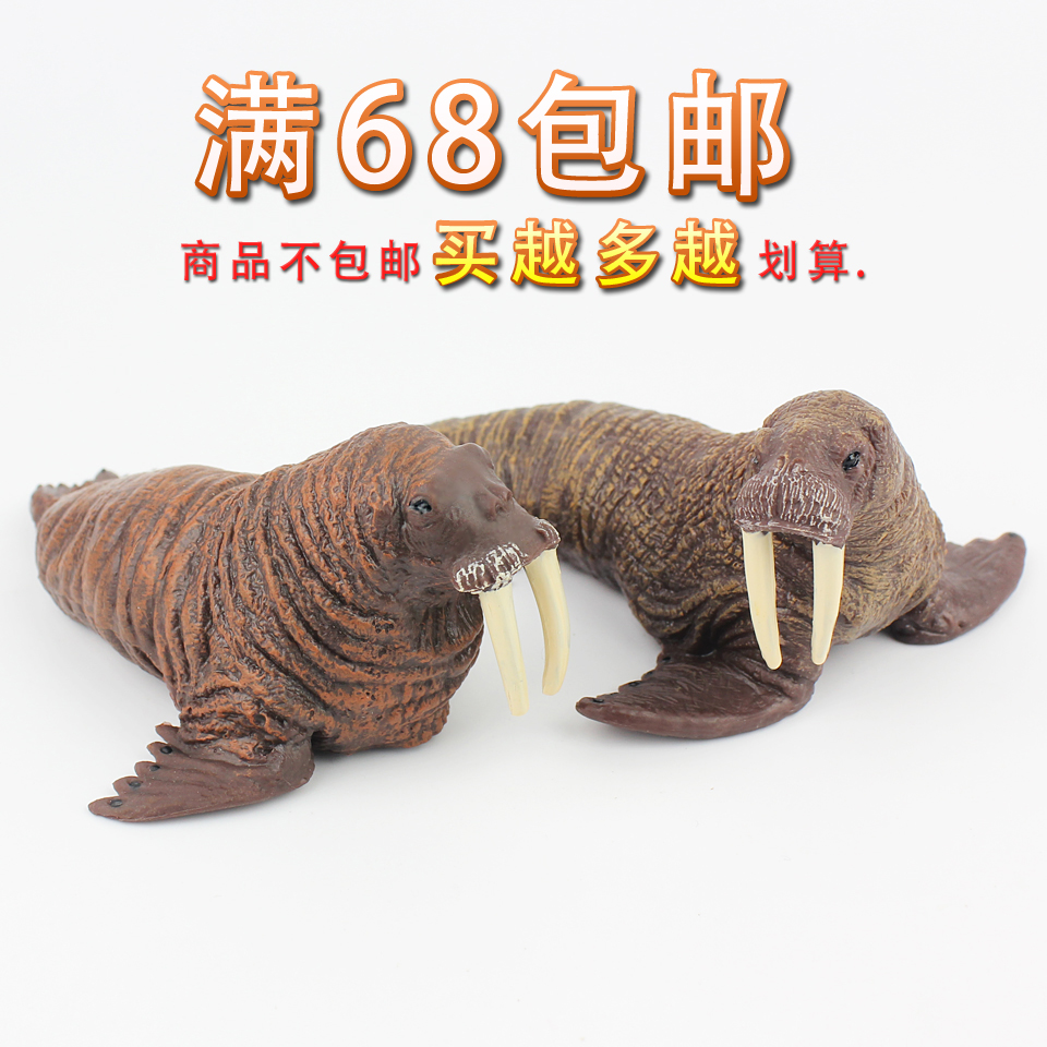 仿真海洋生物公母海象动物模型实心塑胶儿童过家家玩具男女孩礼物 - 图1