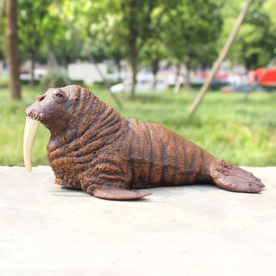 仿真海洋生物公母海象动物模型实心塑胶儿童过家家玩具男女孩礼物 - 图2