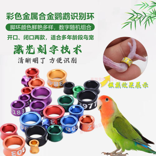 鸟鹦鹉脚环雏鸟幼鸟带闭口环识别环电镀合金开口鸟环八哥虎皮玄凤 - 图0