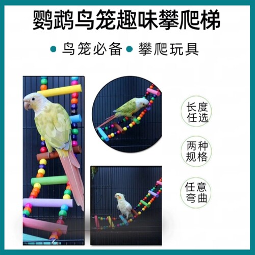鹦鹉鸟用品玩具鸟笼爬梯软桥鸟秋千吊桥吊环云梯批发可弯曲不会断 - 图0