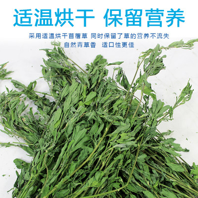 紫花苜蓿草毛重1kg兔子苜宿草龙猫豚鼠干草牧草兔草兔粮荷兰猪草 虎窝淘