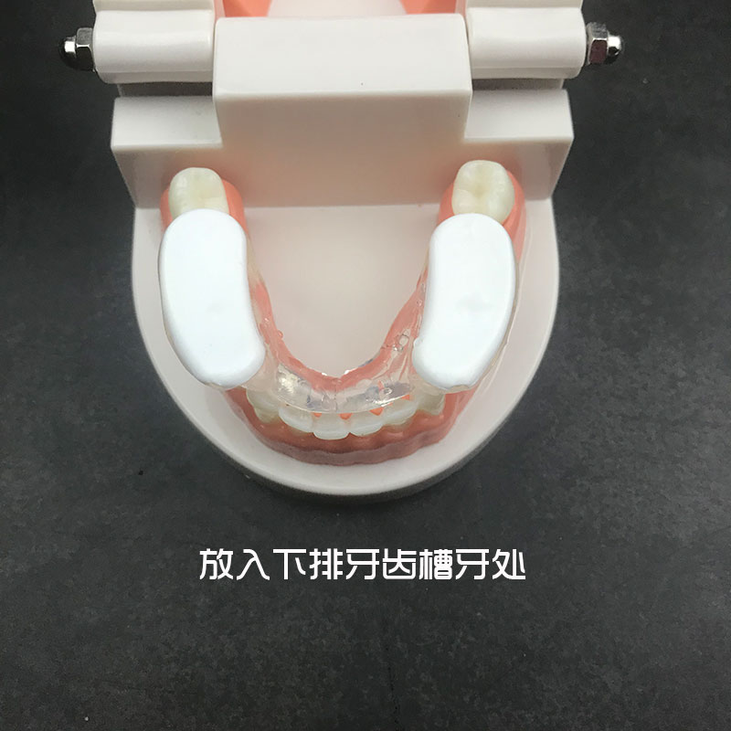 日本夜间磨牙牙套成人睡觉矫正护齿神器防护牙齿工具硅胶防咀嚼套 - 图1