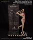 1/6 female soldier encapsulated body Lan new body shape
