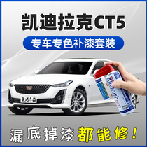 Cadillac CT5 Tonic Paint Pen Alaska White Cloud Sea White Pearl White Black Auto Scratches Repair Spray Paint