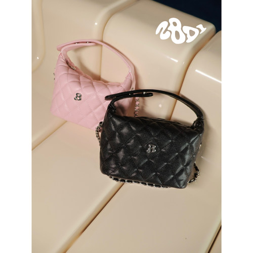 2801“千金小饭盒”Lady Hobo2026春新款 经典链条时髦百搭约会包 - 图3