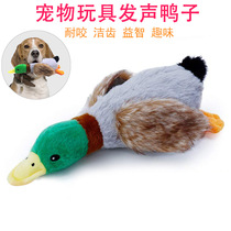 Vocal Ducks Puppy Mao suede Toys Teeth Side Pasta Teddy Bears Golden Fur Sammoye Labrador Chai Dogs