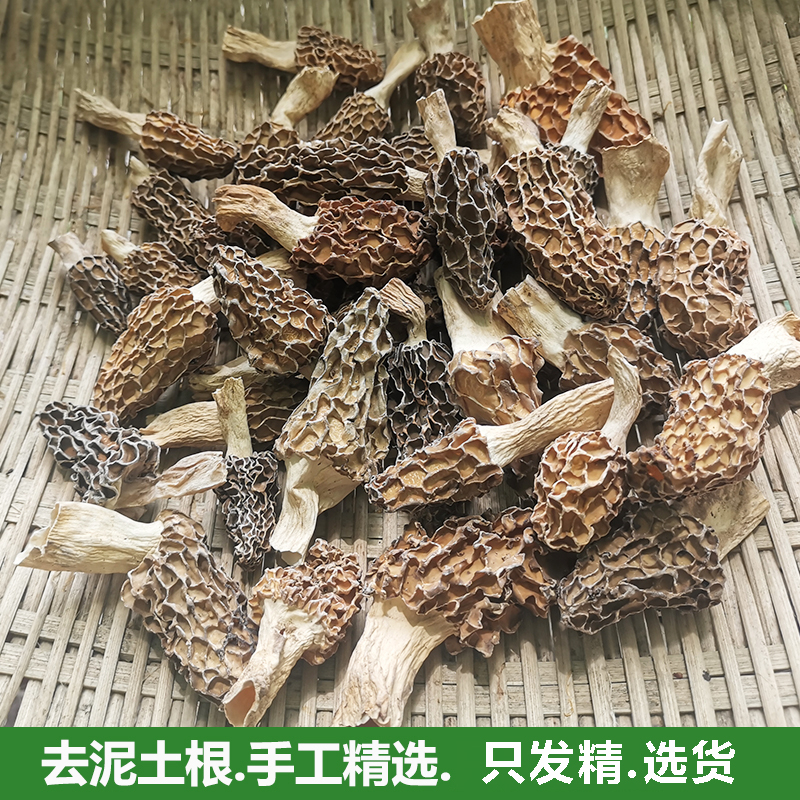 神农架特产羊肚菇野生羊肚菌特级野生羊肚蘑新鲜干货500g煲汤蘑菇-图0