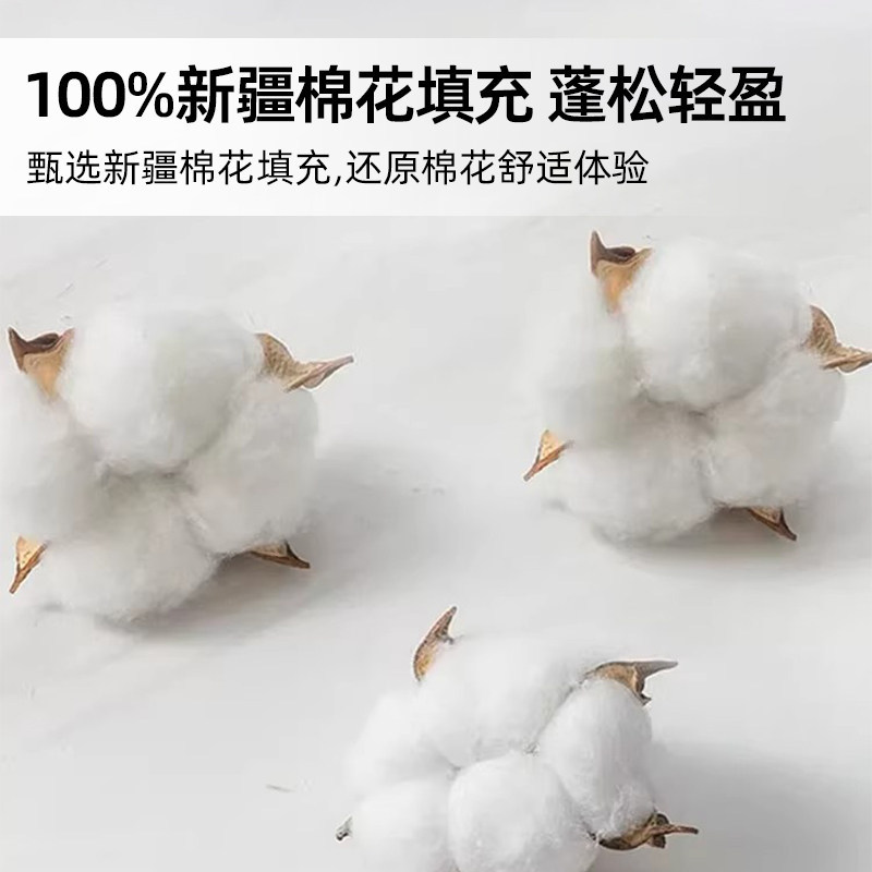 2026新款新疆纯棉夏凉被空调被全棉单人双人薄被子四季通用可机洗