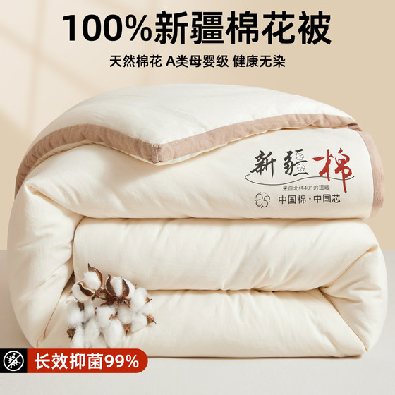 Xinjiang cotton quilt core autumn and winter quilt thickened to keep warm