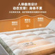 Mattress soft padded mattress for rental student dormitory single person