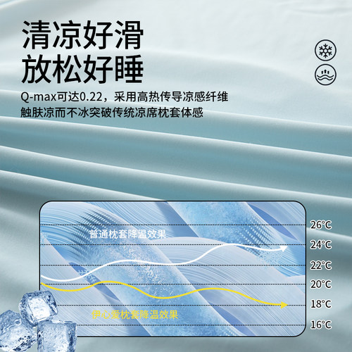 小冰皮凉感冰丝枕套一对装夏凉季记忆棉枕头套高弹力魔术整套通用 - 图0
