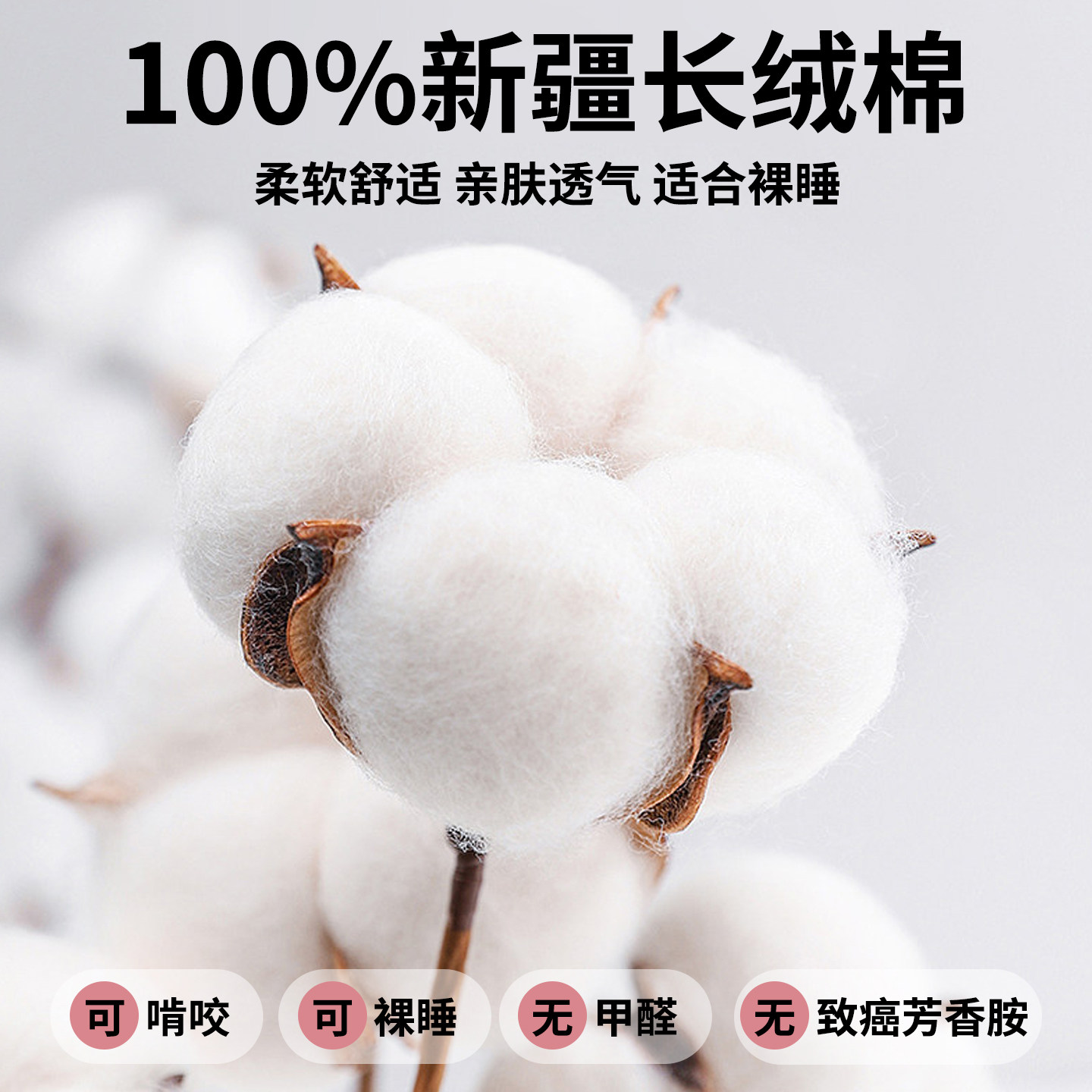 床笠纯棉100全棉床罩单件2025新款四季通用床垫套保护罩床单套罩