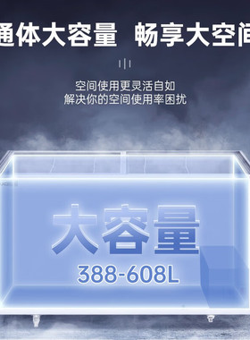 澳柯玛冷冻展示柜雪糕柜