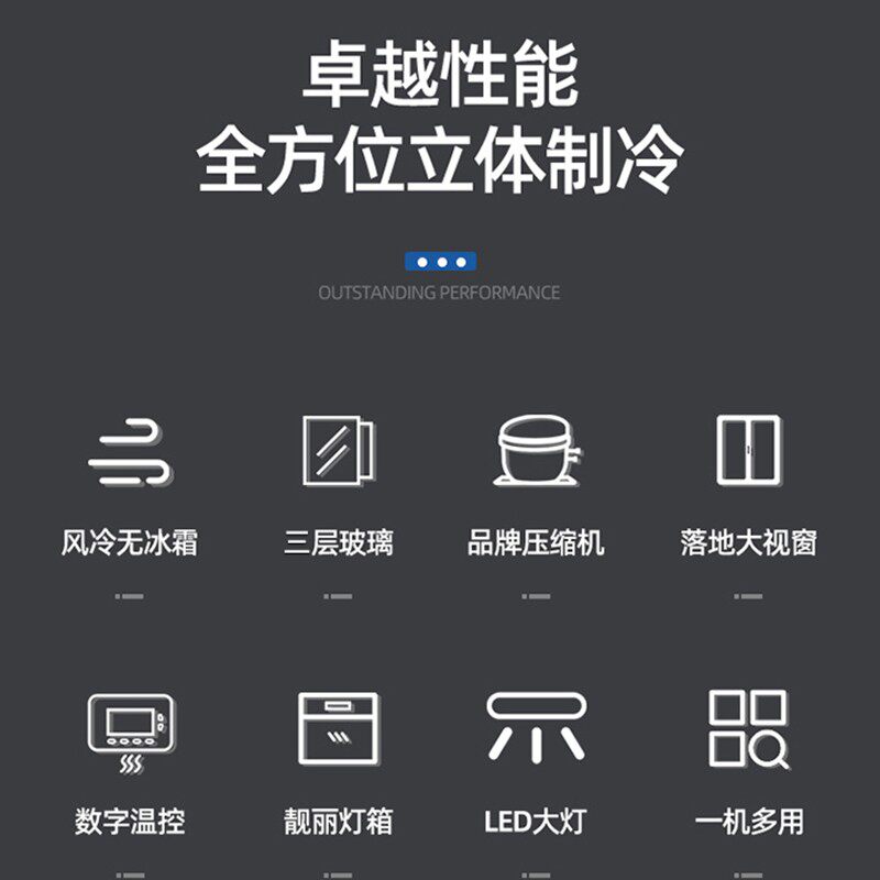 澳柯玛商用冷冻展示柜食品雪糕柜 澳柯玛盛逸展示柜