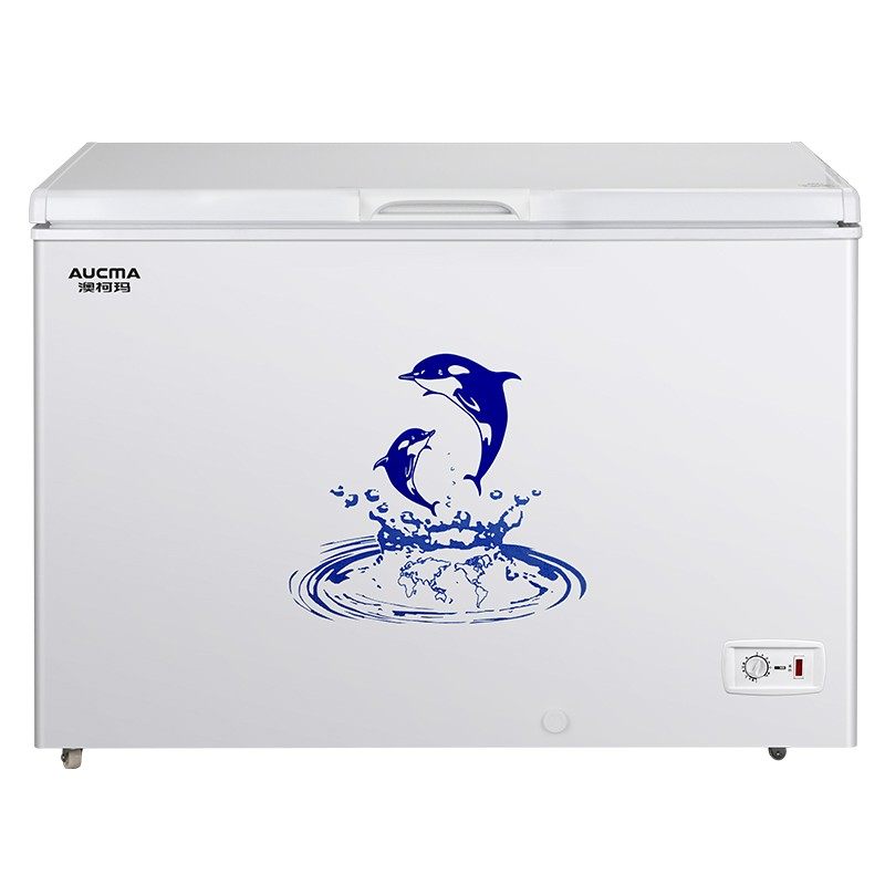 澳柯玛bc / bd-307hne商用家用冰柜 澳柯玛盛逸冷柜