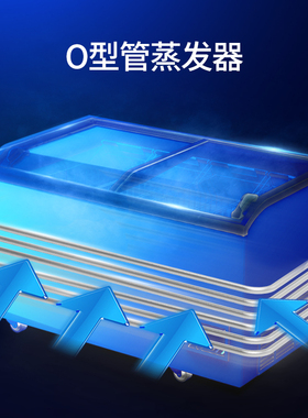 卧式冷冻柜澳柯玛商用