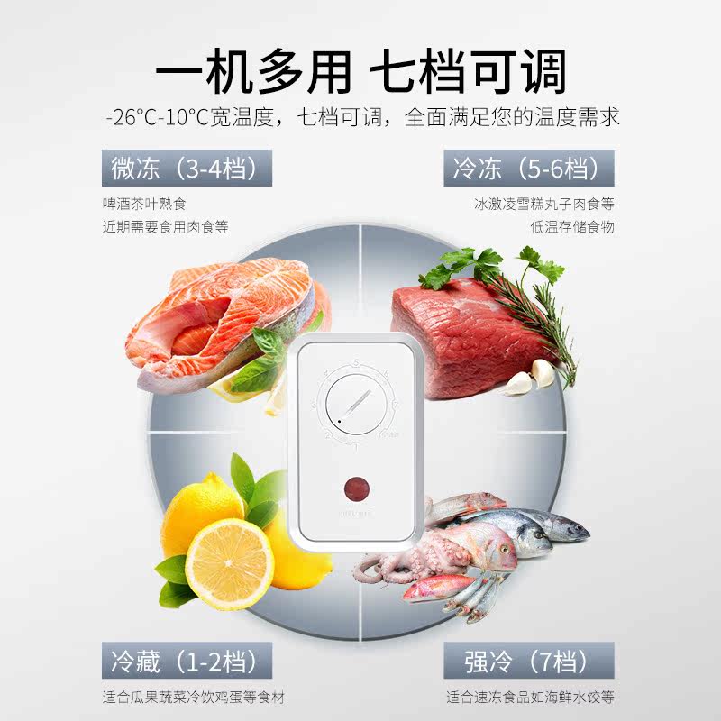 澳柯玛家用商用冷藏冷冻转换冰柜 澳柯玛盛逸冷柜