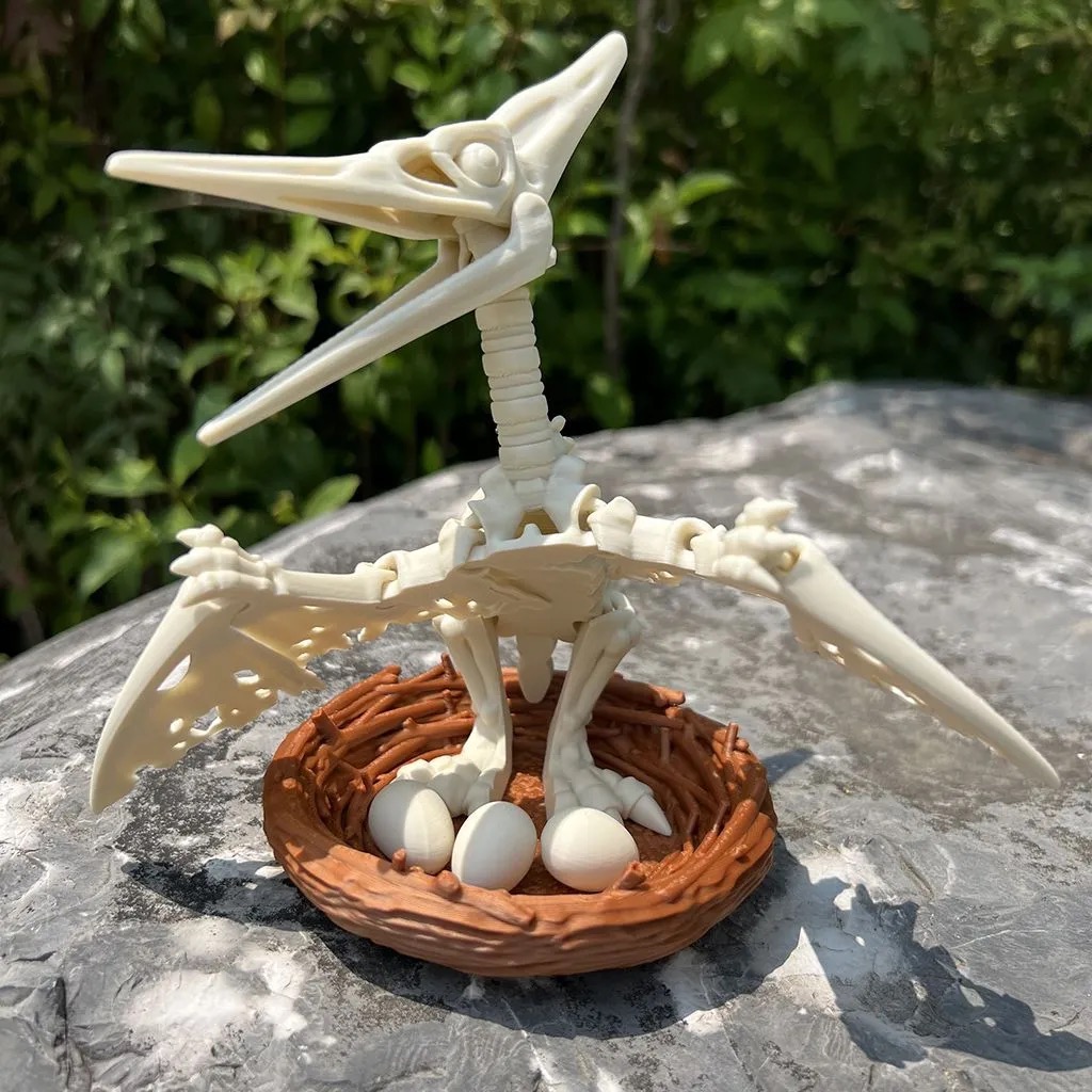 3D打印霸王龙骸骨儿童侏罗纪骨骼恐龙生日玩具六一礼物鱼缸造景 - 图3