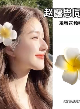 傣族装扮海边度假鸡蛋花发夹旅游