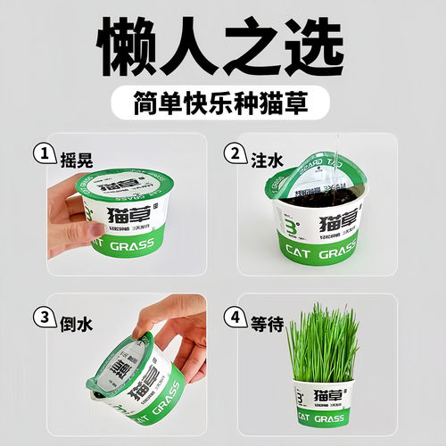 懒人泡面猫草盆栽种子猫薄荷猫咪用品大全零食轻松温和排毛化草毛 - 图3