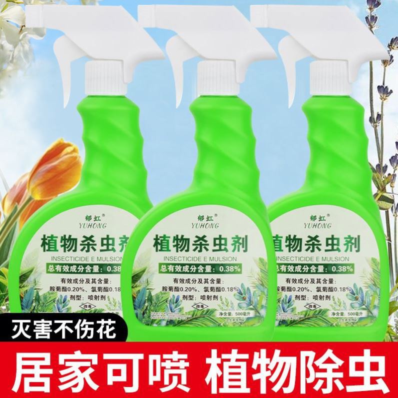 桔子树打虫药家庭橘子树盆栽杀虫剂绿植物蚧壳蚜白粉虱钻心潜叶蛾