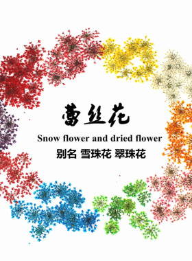 滴胶干花蕾丝蕾丝花压花diy