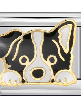 可爱哈士奇柯基牧羊犬宠物狗