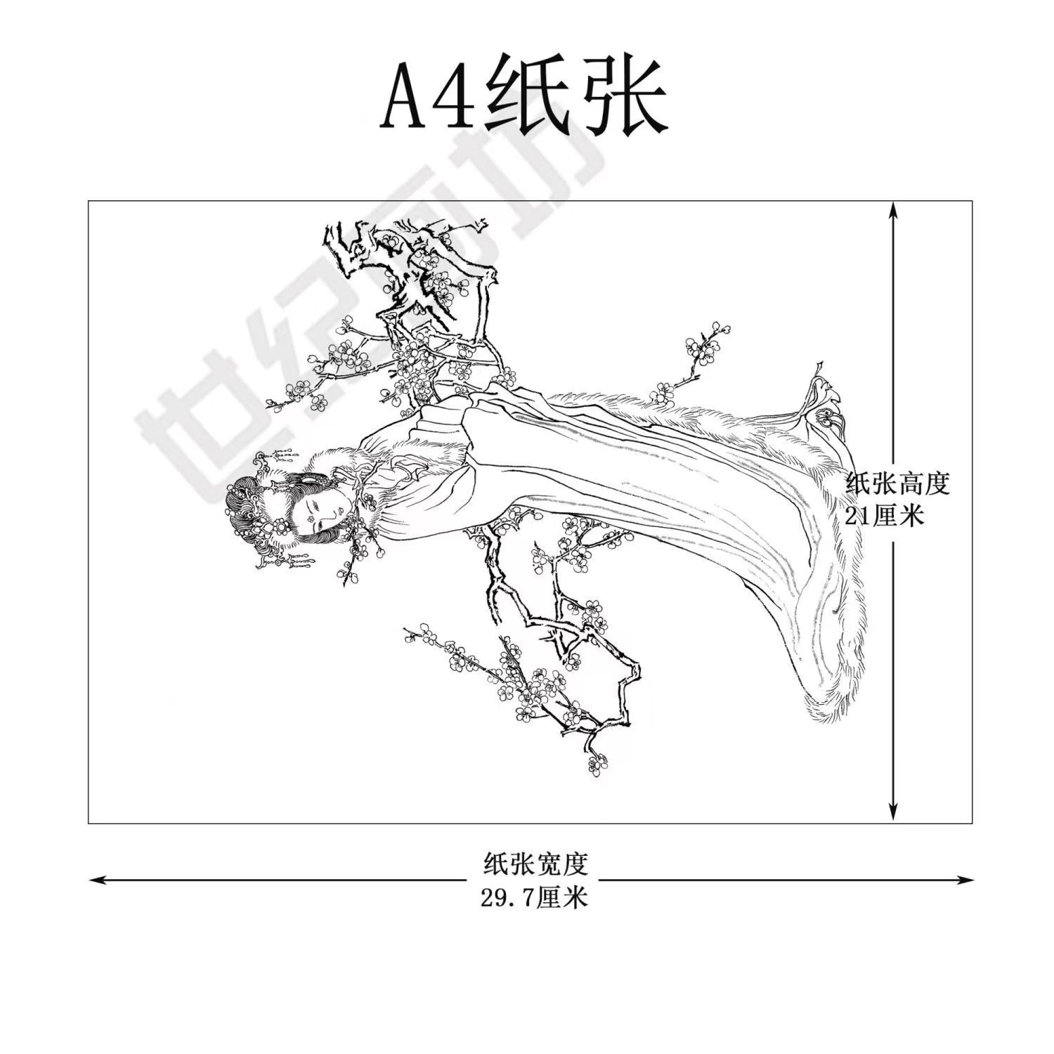 工笔画小品白描底稿线稿花鸟人物动物观音花卉临摹练习稿熟宣打印 - 图1