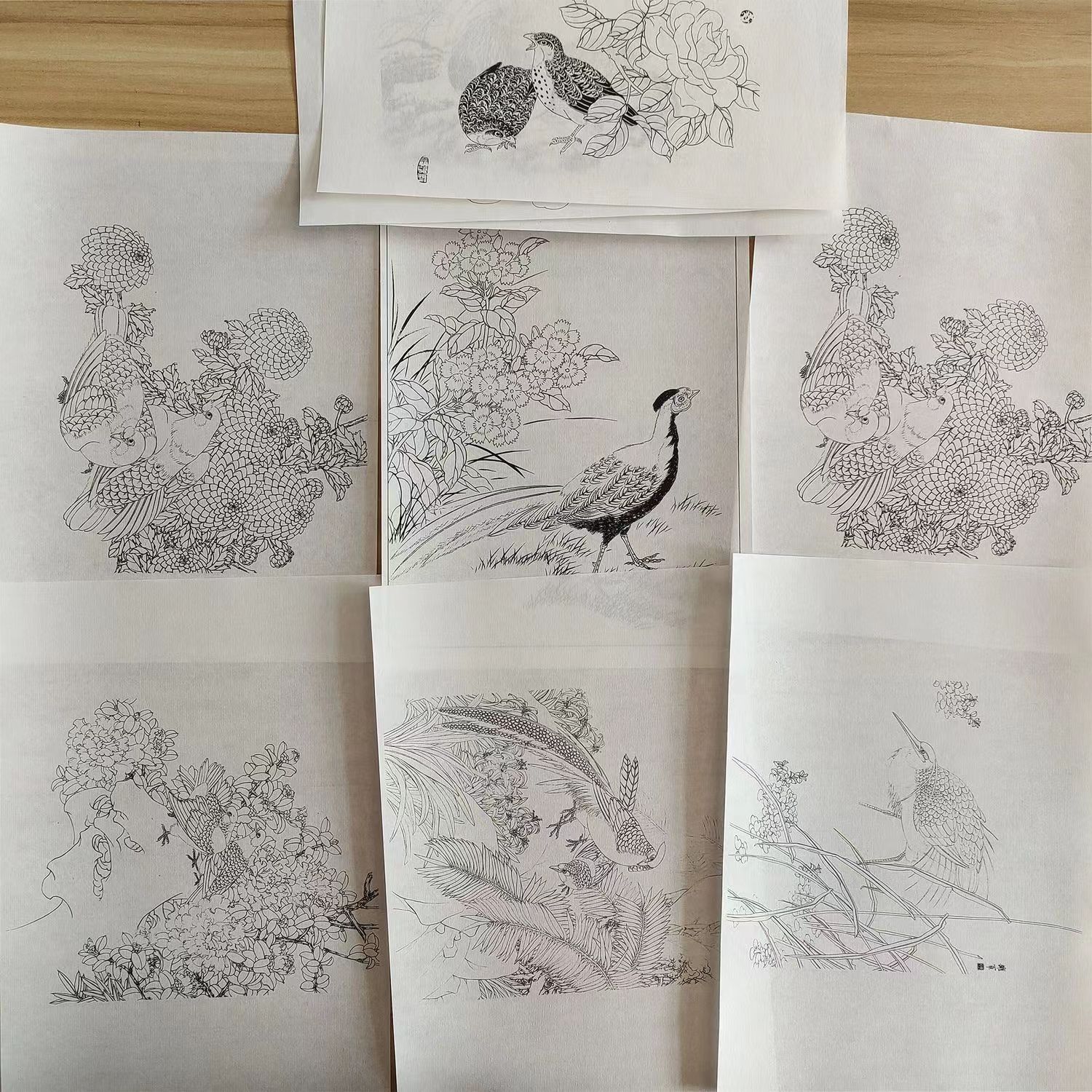 工笔画小品白描底稿线稿花鸟人物动物观音花卉临摹练习稿熟宣打印 - 图2