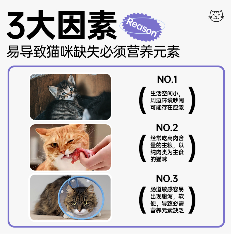 雷米高猫用复合维生素b奶贝160片猫多维新西兰进口奶源美护毛发 - 图0