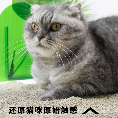 猫砂10公斤精灵猫包邮除臭结团猫沙膨润土低尘矿砂20斤10kg猫砂-图3