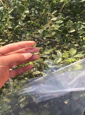 可定制软玻璃pvc高透保护膜相框