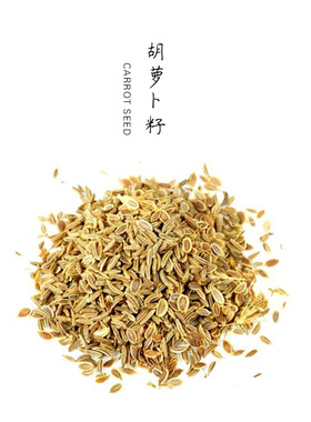 提亮紧致法国胡萝卜籽单方纯精油