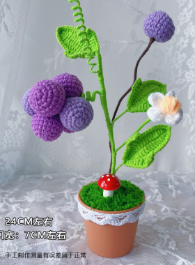 居家摆件编织花毛线水果礼物成品