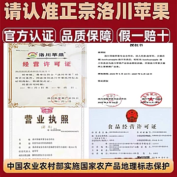 【3斤】陕西特产正宗洛川红富士苹果[2元优惠券]-寻折猪